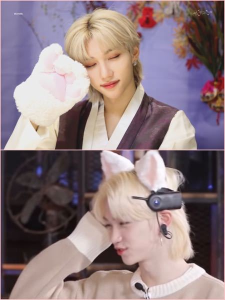 K_POPの男性アイドルで猫顔や猫といわれているアイドル教え - Yahoo 