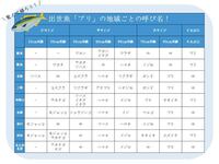 イナダは 関西ではツバスですか ブリの直前はハマチで これは関東関西ど Yahoo 知恵袋