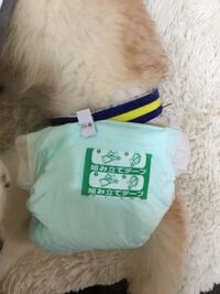 犬のオムツ 漏れにくい方法を教えて下さい 初めて１７歳の老犬 Yahoo 知恵袋