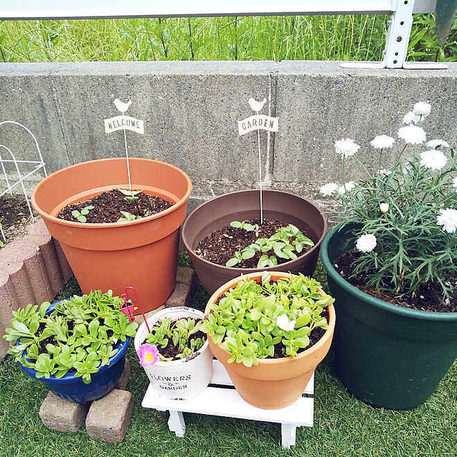 人工芝の上に花壇を造っても問題ないでしょうか プランターでもいいので Yahoo 知恵袋