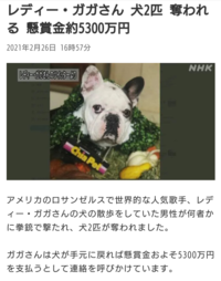 レディー ガガの愛犬が誘拐されて返してくれれば約5300万支払う Yahoo 知恵袋