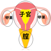 ママになりました 患者様の声 三宅医院