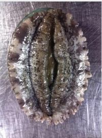 女性器の小陰唇がかなり黒いです ほんっとに黒です 気づいたら黒くなっていて Yahoo 知恵袋