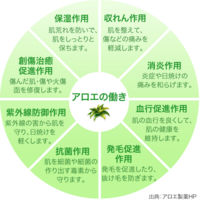 歳女ニキビができました眉毛と眉毛と鼻を結んだ間に信じられ Yahoo 知恵袋
