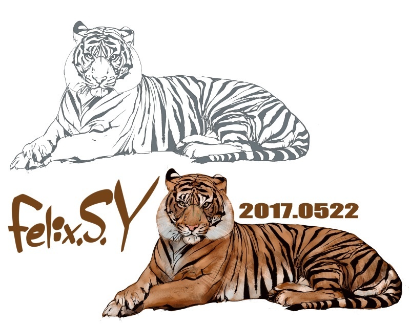 鉛筆画を初めたばかりの初心者ですが 動物を描く時のおすすめの用紙ありますか Yahoo 知恵袋