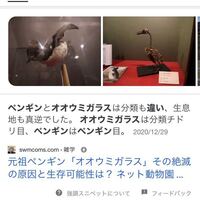 ペンギンとオオウミガラスの違いはなんですか 模様だけじゃ Yahoo 知恵袋