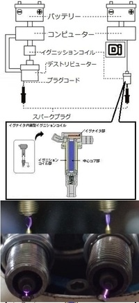 回答の画像