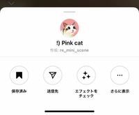 インスタのエフェクトで量産型さんがよく使っている 猫の顔パック は Yahoo 知恵袋