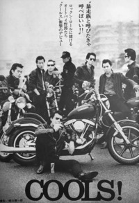 この クールスの写真のハーレーの車種って言うか型式というか詳 Yahoo 知恵袋