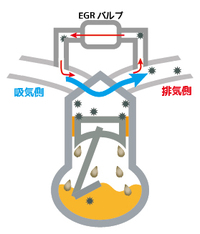 回答の画像