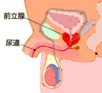 cmcvelloreで仕事を適用する方法