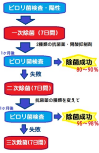 ピロリ菌一次除菌中です 今日で3日目です 薬剤師からは多少の飲酒は Yahoo 知恵袋