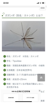 さっき仕留めました これは何という虫ですか 刺されたら痒いものです Yahoo 知恵袋