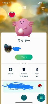 ポケモンgoについて こんな個体値のラッキーを捕まえました ラッキ Yahoo 知恵袋