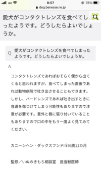 私の不注意で犬がソフトコンタクトレンズを食べてしまいました 犬種はポメラ Yahoo 知恵袋