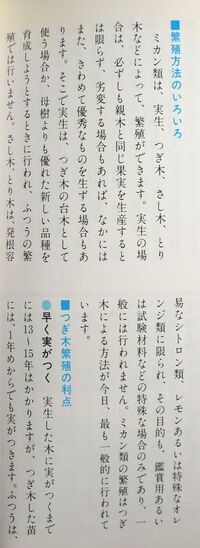 種から育てるレモンの味 うちで育てているレモンの実から 種が取れま Yahoo 知恵袋
