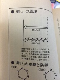喧嘩芸骨法の堀部師範は実は喧嘩の経験は一度もないんじゃないか Yahoo 知恵袋