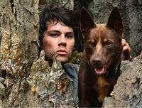 ネットフリックスオリジナル映画にてラブ モンスターというモンスター系 Yahoo 知恵袋