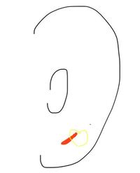 ピアス3連で空いてるんですが まだピアスがなくて下の画像のよ Yahoo 知恵袋