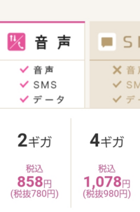 携帯の格安スマホのプランに変えようかとても迷っているのでアドバイスお願いし Yahoo 知恵袋