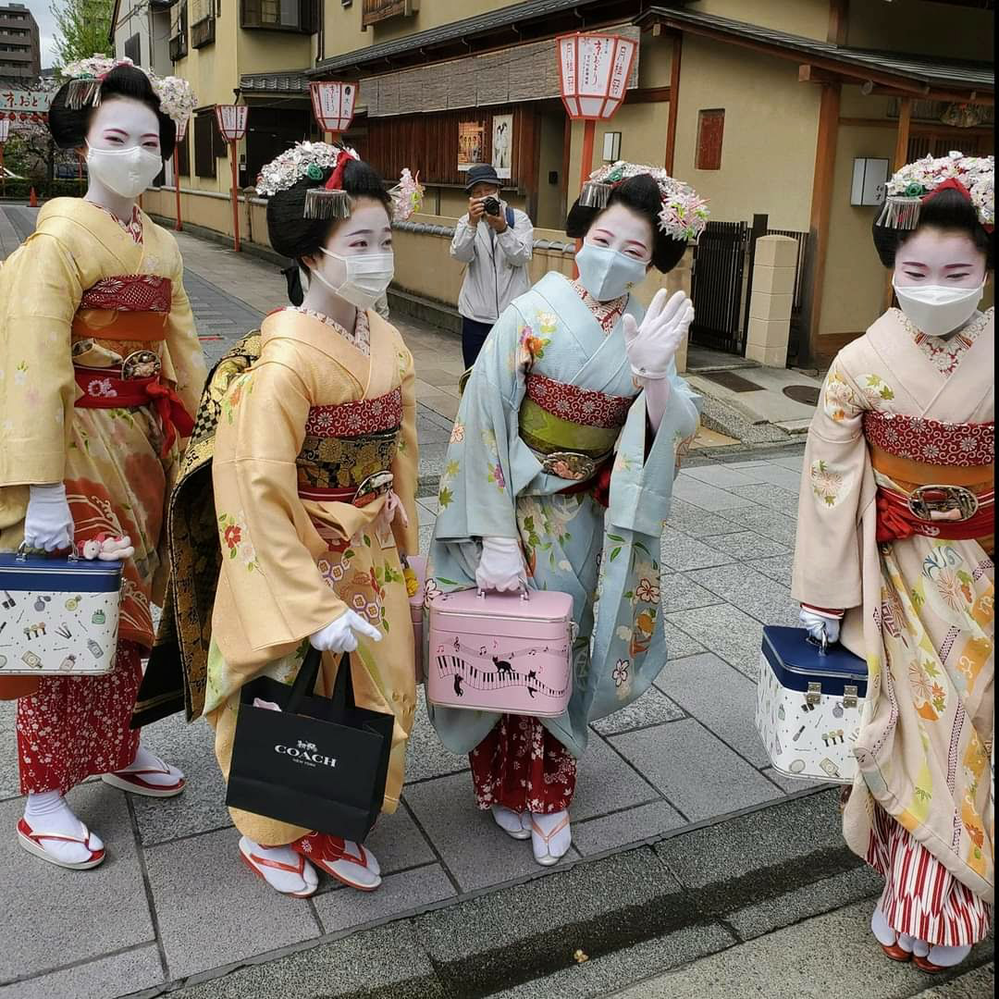 希少 舞妓さん使用品 割れしのぶ用天留め 簪 かんざし 成人式にも 