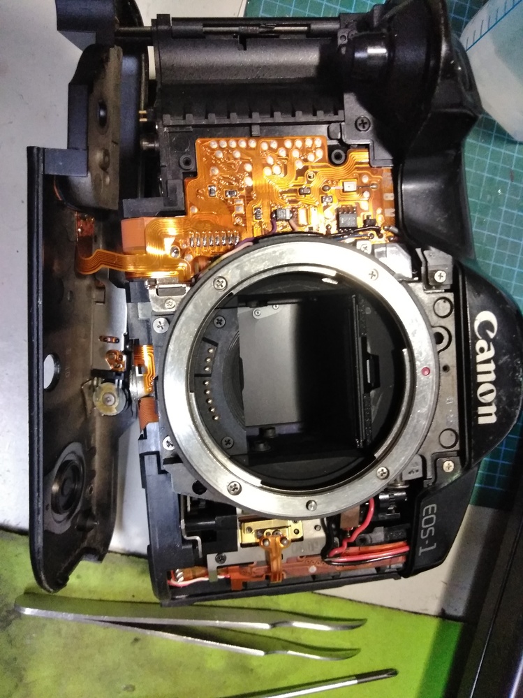 防湿庫に死蔵してあったフィルムのEOS-1Nに電池を入れてスイッチを入れ