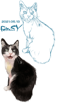 猫の描き方がいまいちよく分かりません画像は去年くらいに描いたも Yahoo 知恵袋
