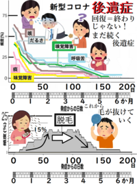 コロナで入院していた知人が退院しました 皆さんなら 退院祝いは Yahoo 知恵袋