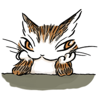 この猫は可愛いと思いますか 猫好きからいわせると可愛くない猫なん Yahoo 知恵袋