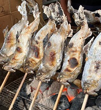 塩焼きで美味しい川魚はなんですか 僕は鮎が好きです その次はアメゴ Yahoo 知恵袋