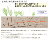粒剤の除草剤を頻繁に撒いてどくだみ草などの地下茎雑草を駆逐したことがある方 Yahoo 知恵袋