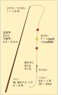 のべ竿で海釣りを試してみたのですが、全然釣れませんでした。 -  - Yahoo!知恵袋