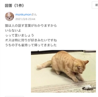 猫が蛇にたべられる動画は批判が多いですが 猫が魚を食べていると高評価が多 Yahoo 知恵袋