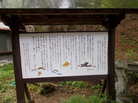 詩が挿入されてる有名小説は Yahoo 知恵袋