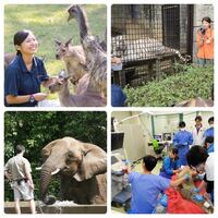 動物園で働くとしたら大卒ですか 動物園でどんな仕事に就 Yahoo 知恵袋