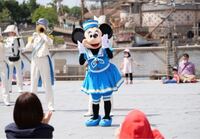 東京ディズニーシーでミラーレス一眼を使用する際についての質問です マ Yahoo 知恵袋