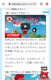 大喜利 Sdgsって何の略 例 S 酒がd 大好きなg Yahoo 知恵袋