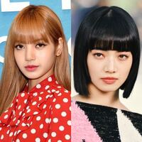 Blackpinkのlisaや小松菜奈みたいな顔立ちの人ってどんな髪型が Yahoo 知恵袋