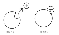 化学の質問です イオンのイメージが湧きません なので イオンの反応式など Yahoo 知恵袋