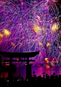 花火って何が面白いんですか Yahoo 知恵袋