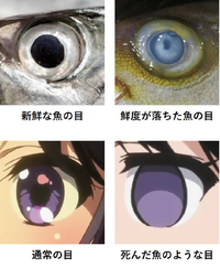 日本語で 死んだ魚のような目 という表現がありますが あれが何を示 Yahoo 知恵袋