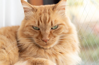 試乗予約をキャンセルしたいです 電話でキャンセルをお願いしたとし Yahoo 知恵袋