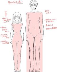 男女の体格差について質問です 私は男性の肩幅だったり腕の太さだった Yahoo 知恵袋