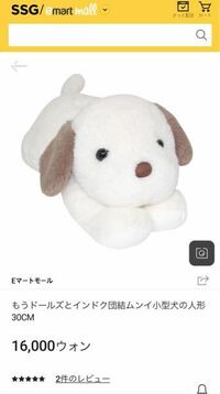 ATEEZのヨサンくんがVライブで持っていた犬のぬいぐるみは... - Yahoo