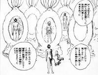 アニメの幽遊白書の時雨ってなんか魔界大会に出てきたんだけど飛影に顔面切ら Yahoo 知恵袋