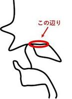 タングドリルは少しできるんですけど ﾄｩﾙﾙﾙﾙﾙって感じの巻き舌が Yahoo 知恵袋