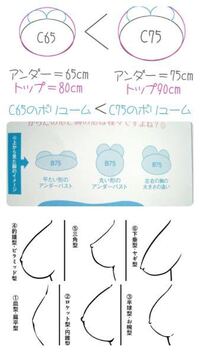 私は今eカップあるのですが 各専門店で何度か測ってます 離れ Yahoo 知恵袋