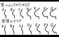 胸のカップがf65なのですが 全然大きく見えません 寧ろ貧乳って言われるぐら Yahoo 知恵袋
