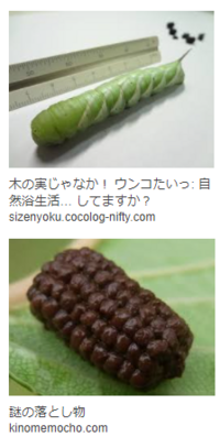 数ある質問の中から目を留めていただきありがとうございます 庭の駐 Yahoo 知恵袋