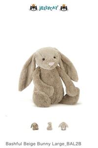 Nctdreamのジェミンが持ってるウサギのぬいぐるみの名前と Yahoo 知恵袋